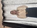 review thumbnail images 18