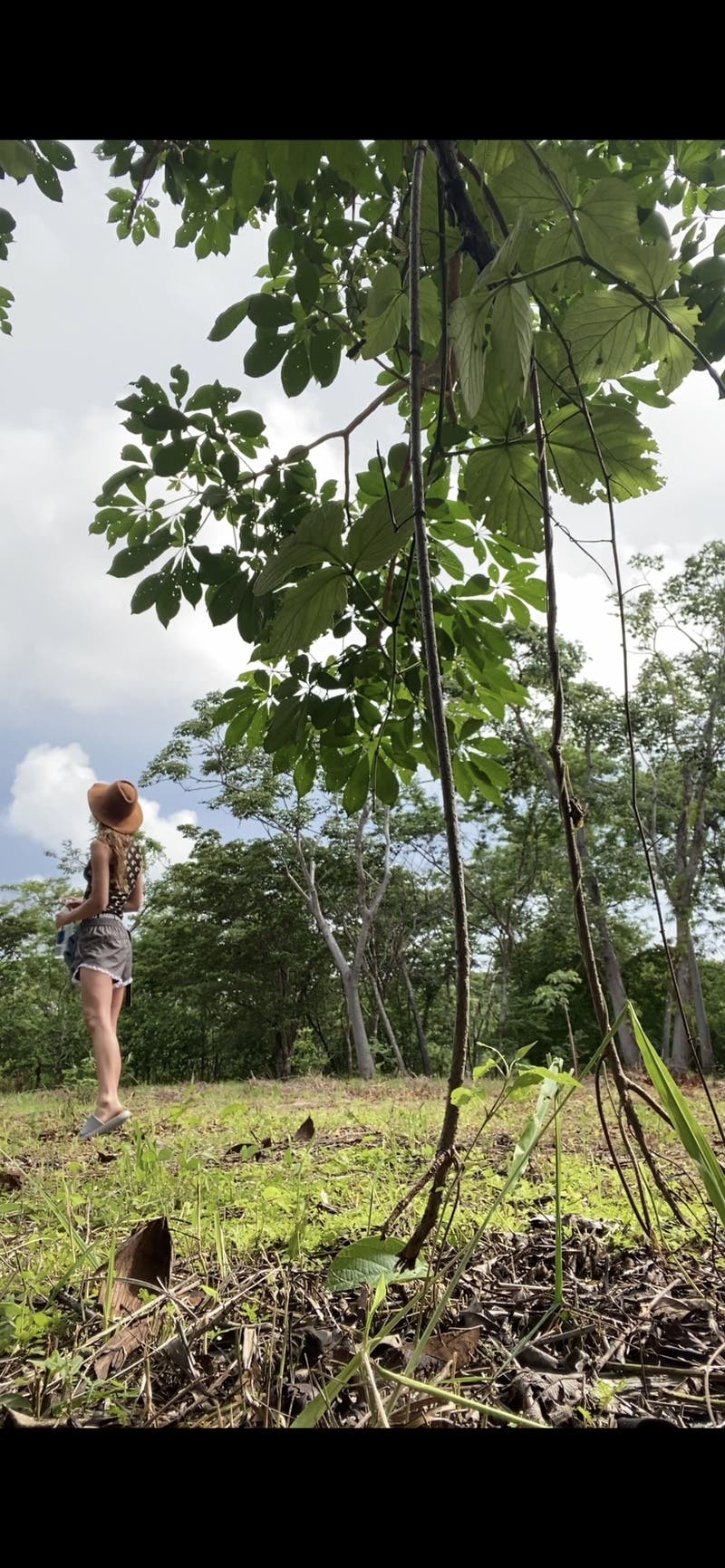 review thumbnail images 1