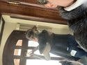 review thumbnail images 2