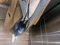 review thumbnail images 18