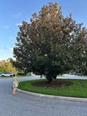 review thumbnail images 17