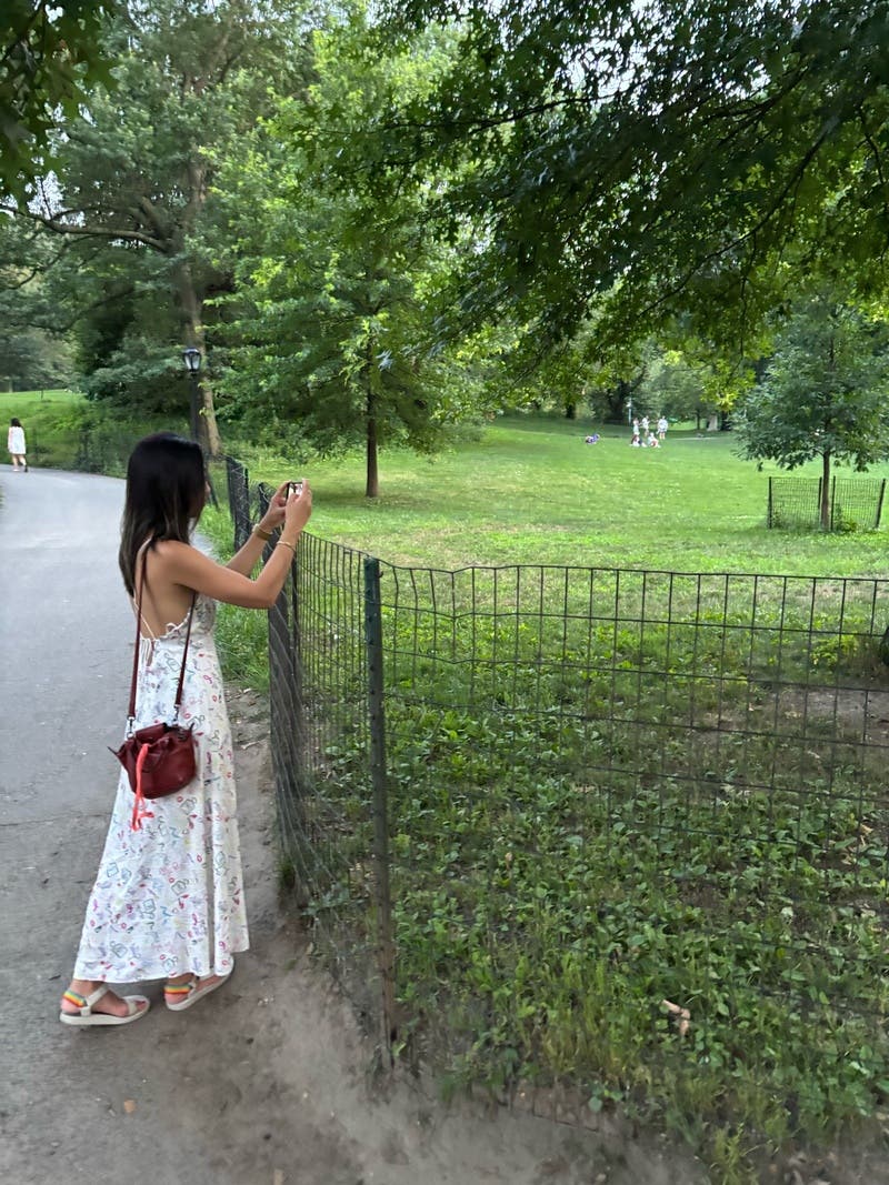 review thumbnail images 0