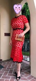 Rent Cherry Lace Midi Dress from Jill Jill Stuart - 742788 | Rent the Runway