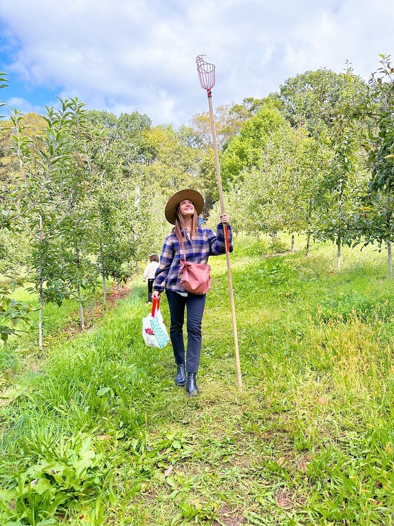 review thumbnail images 5