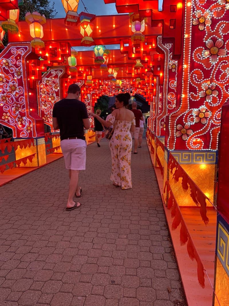 review thumbnail images 9