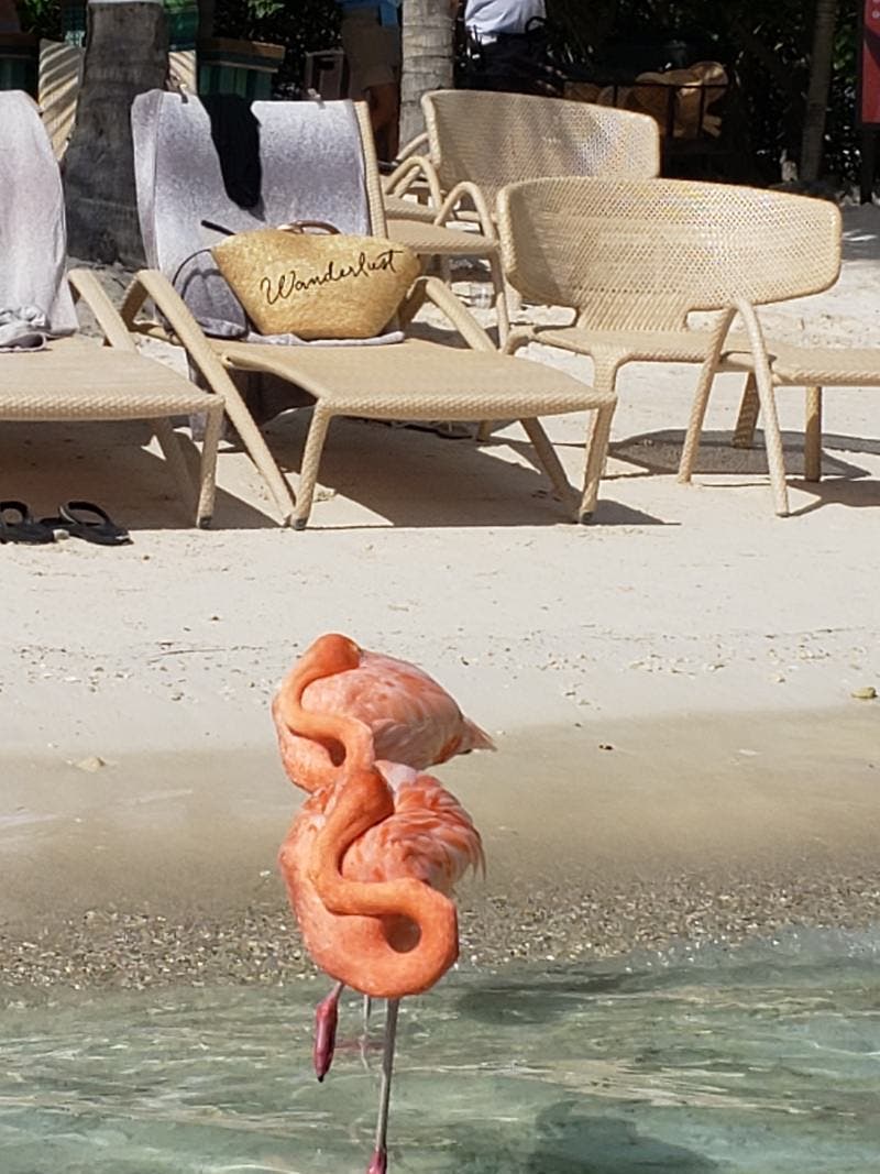 review thumbnail images 3