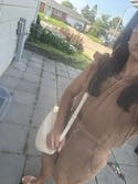 review thumbnail images 2