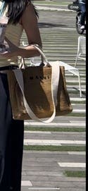 ★MARNI★ Small Raffia Basket Tote Bag Ultramarine SHMP0077U Small Basket Tote by Marni Accessories | Rent the Runway
