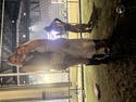 review thumbnail images 6