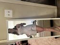 review thumbnail images 2