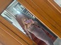 review thumbnail images 2