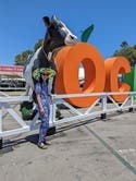 review thumbnail images 12
