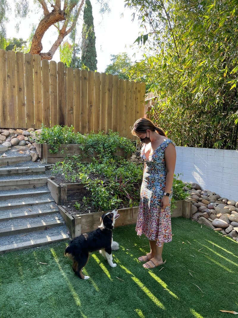 review thumbnail images 18