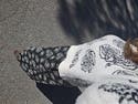 review thumbnail images 9
