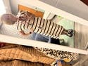 review thumbnail images 2