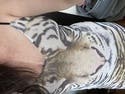 review thumbnail images 17