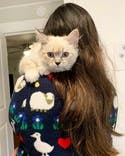 review thumbnail images 19