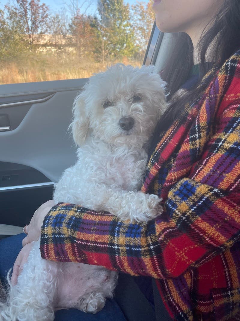 review thumbnail images 18