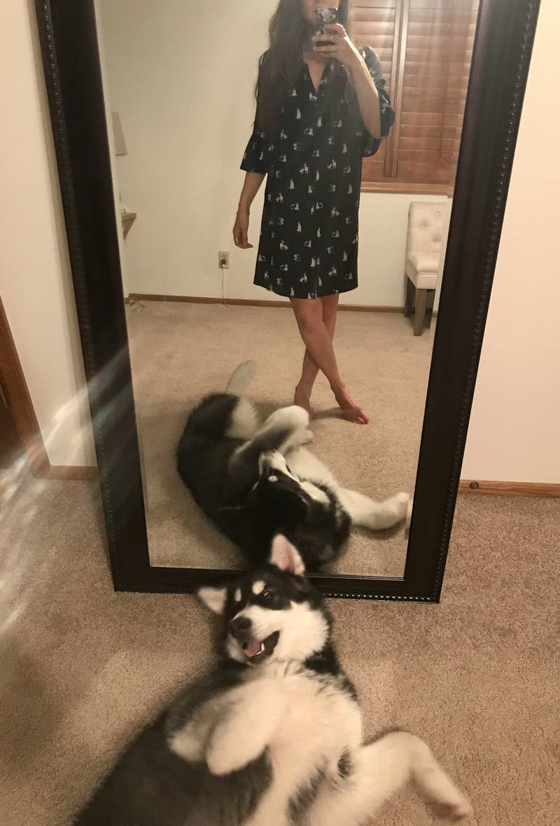 review thumbnail images 19