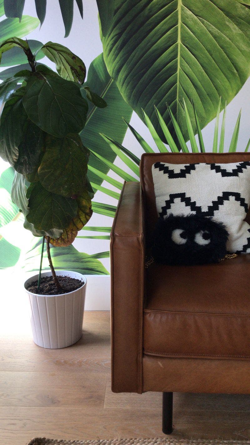 review thumbnail images 2