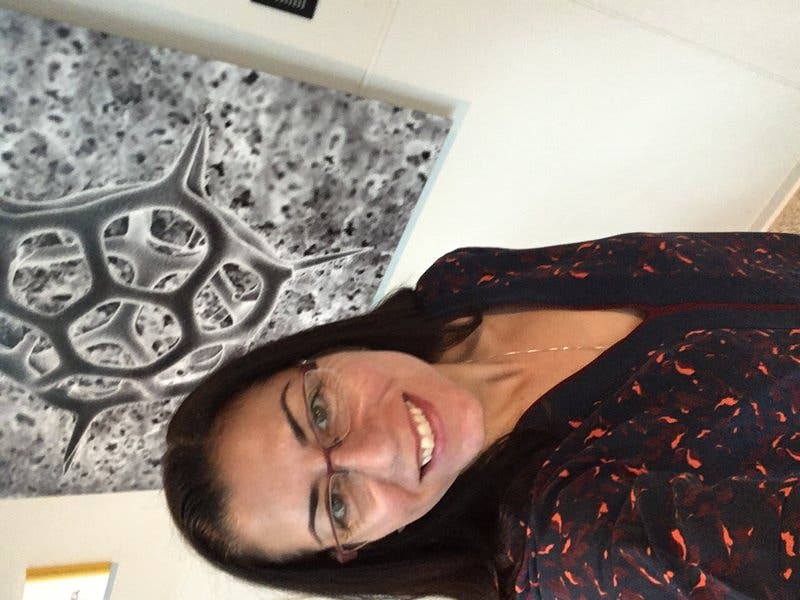 review thumbnail images 2