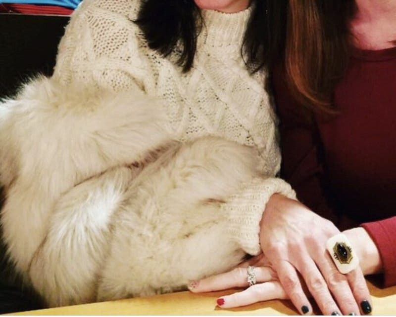 review thumbnail images 19