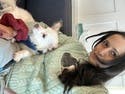 review thumbnail images 17