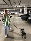 review thumbnail images 11