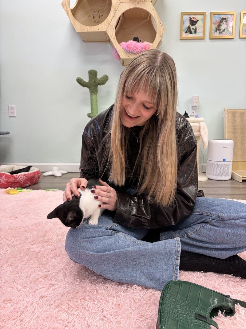 review thumbnail images 6