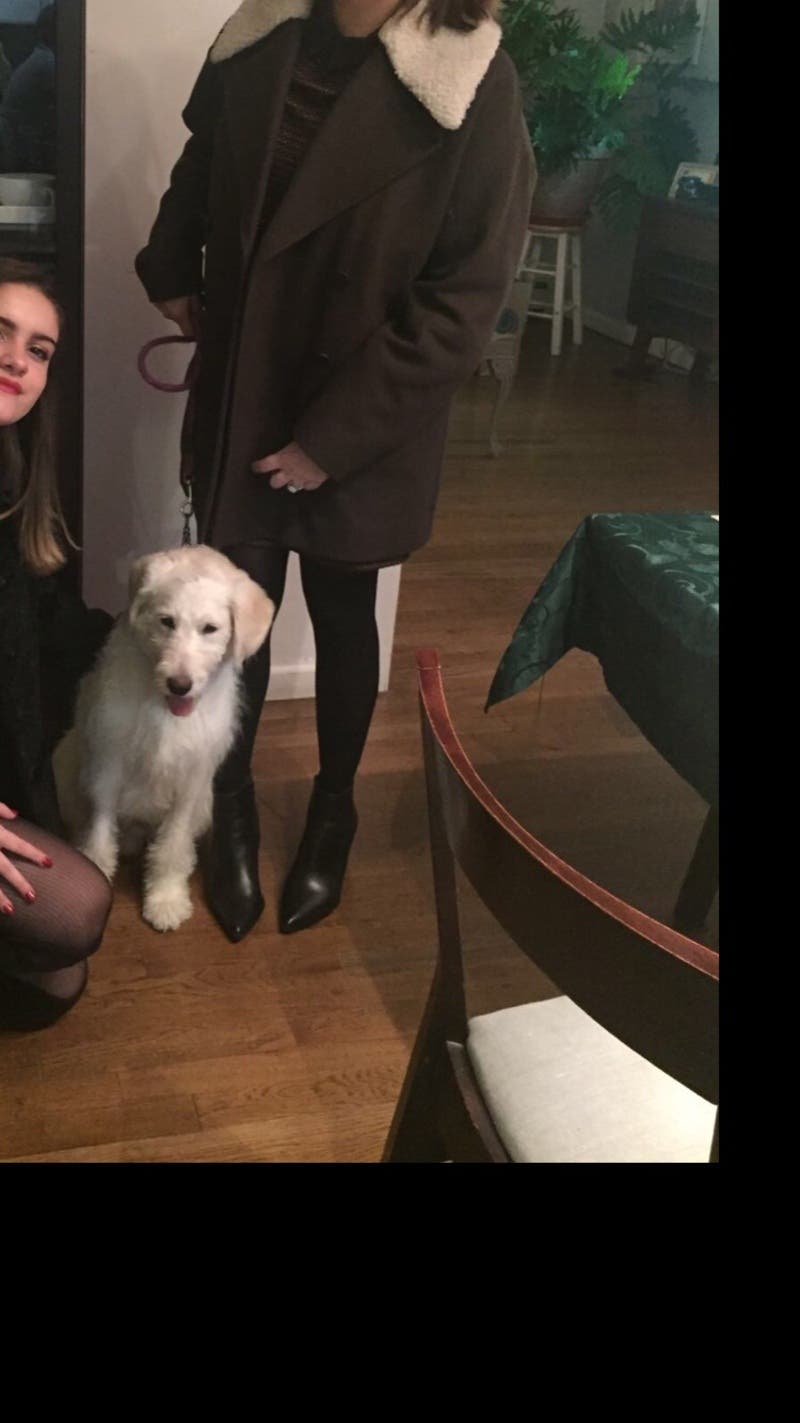 review thumbnail images 0