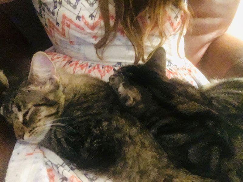 review thumbnail images 0