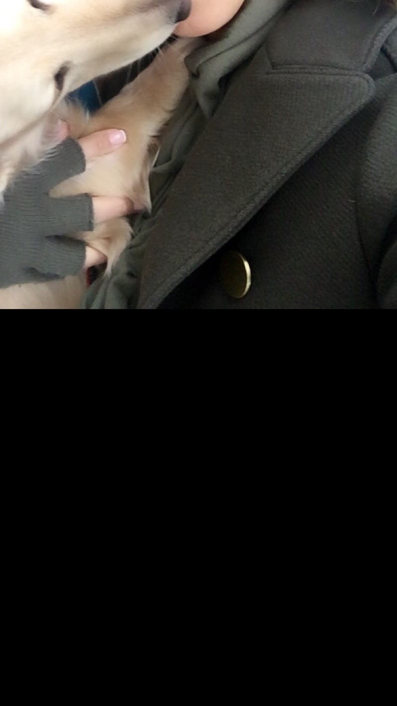 review thumbnail images 11