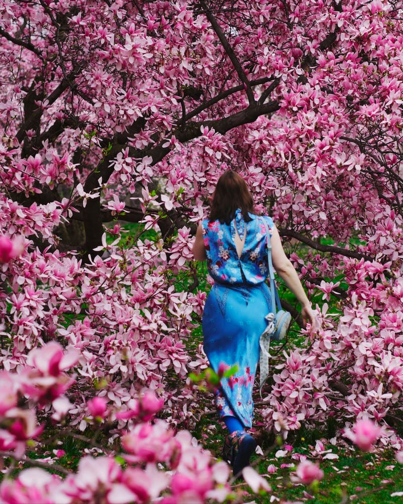 review thumbnail images 17