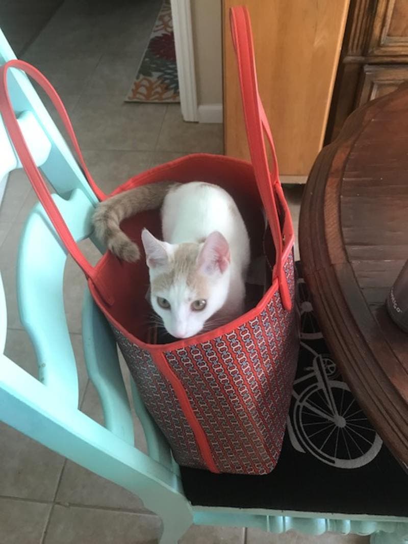 review thumbnail images 1