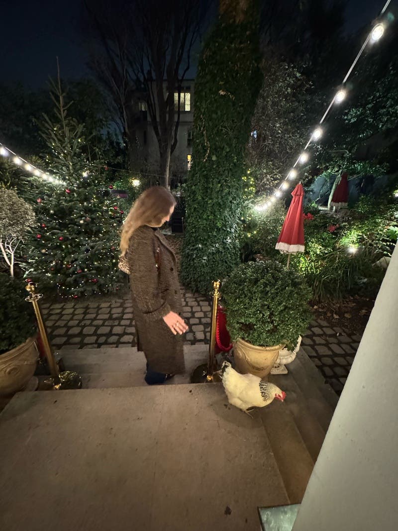 review thumbnail images 0