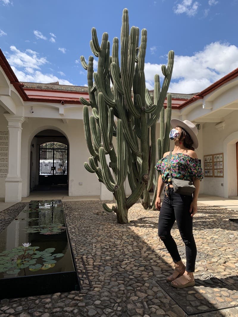 review thumbnail images 11