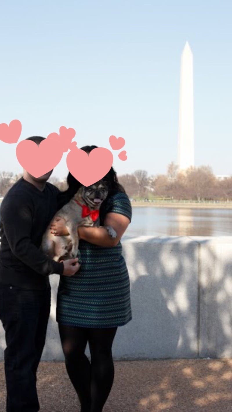 Member review photo