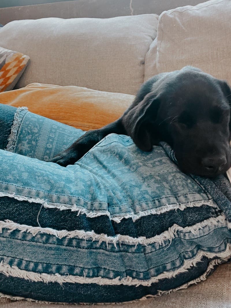 review thumbnail images 17