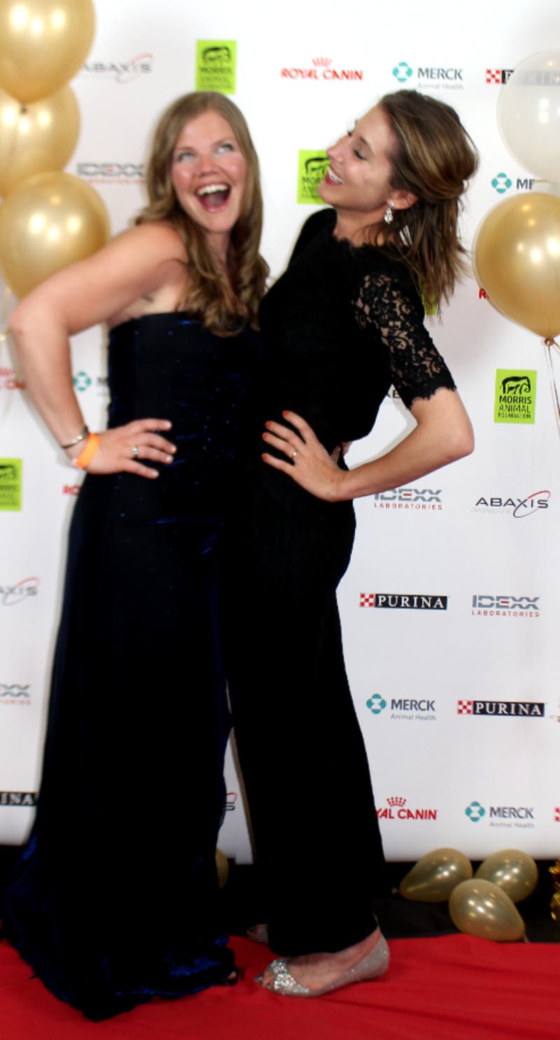 review thumbnail images 18