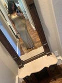 review thumbnail images 19