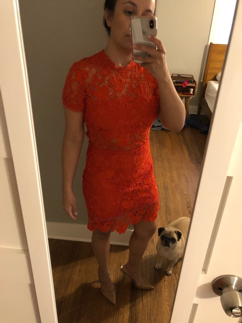 review thumbnail images 8