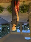 review thumbnail images 4