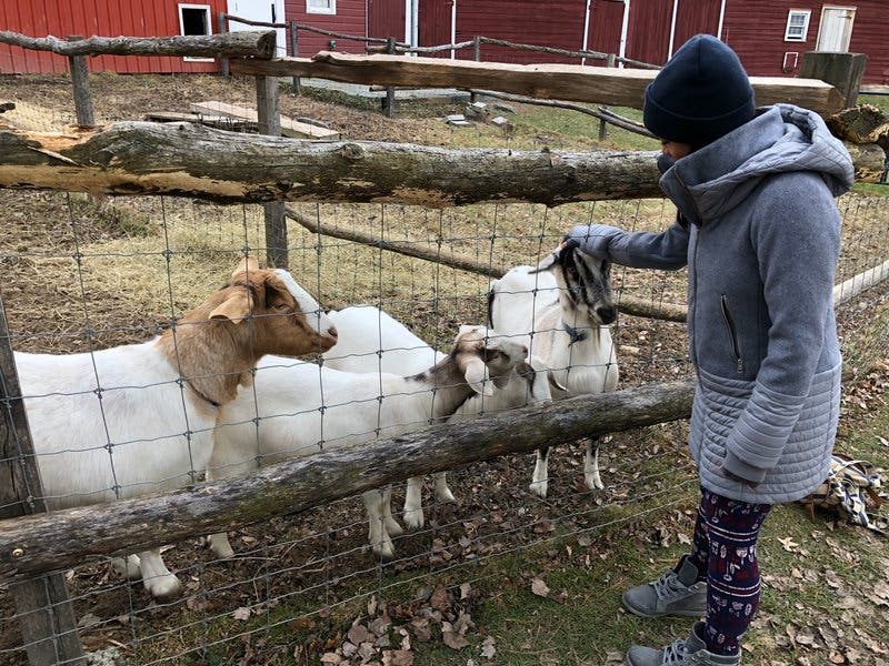 review thumbnail images 5