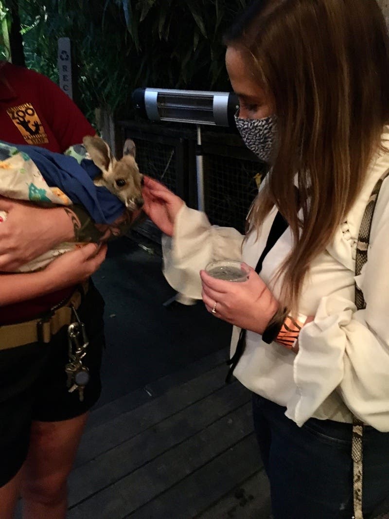 review thumbnail images 1