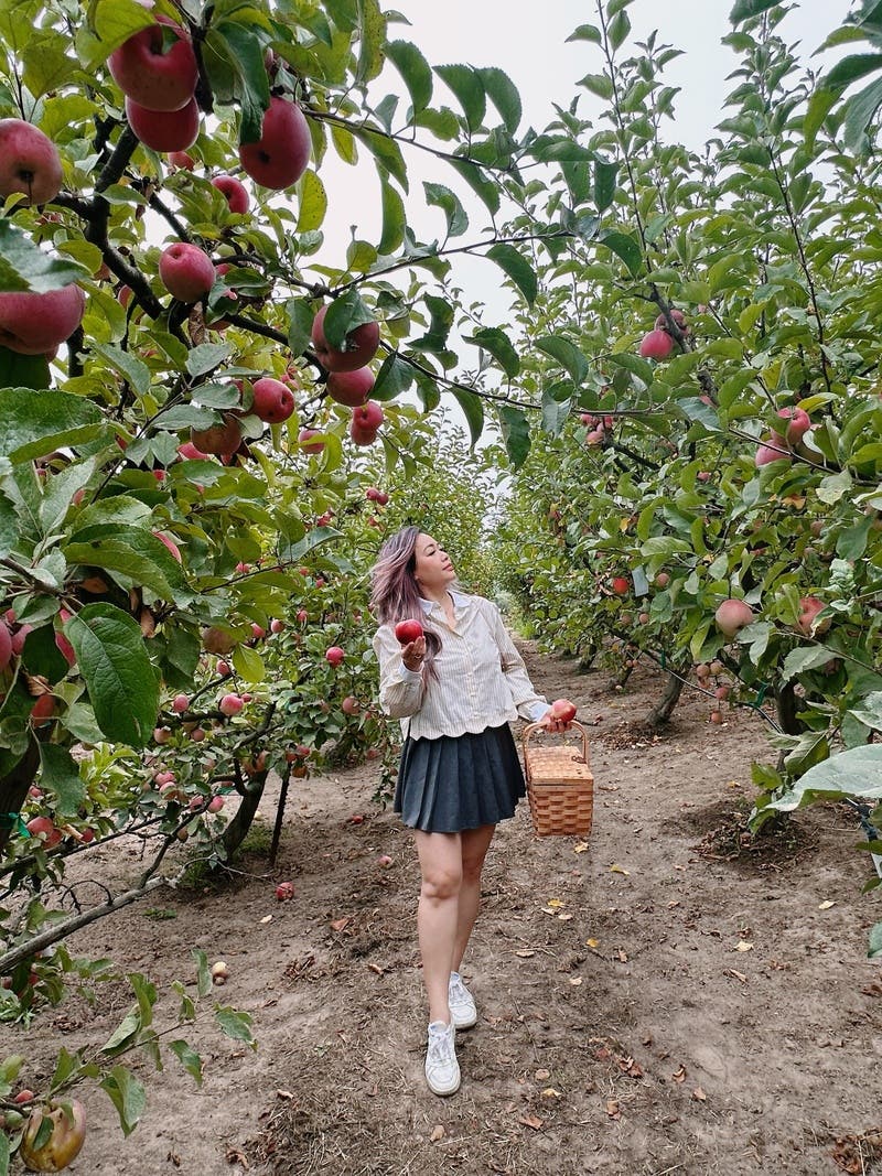 review thumbnail images 2