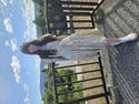 review thumbnail images 14