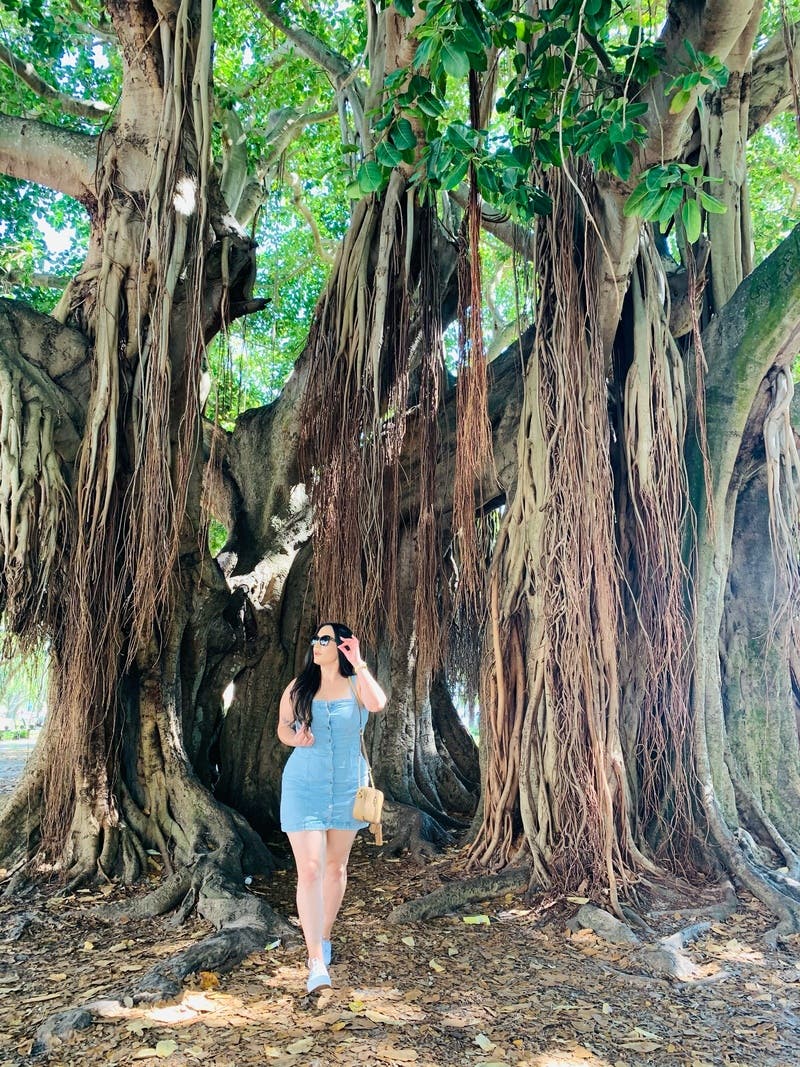 review thumbnail images 4