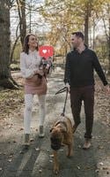 review thumbnail images 16