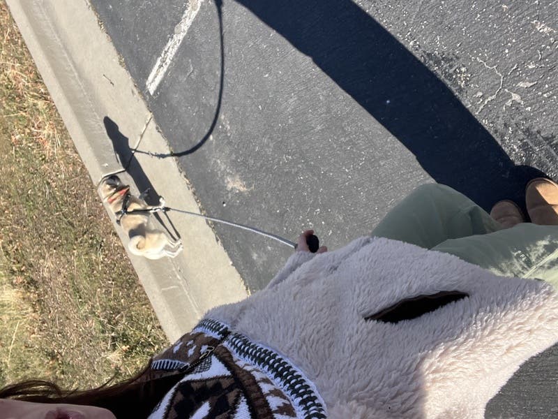 review thumbnail images 4