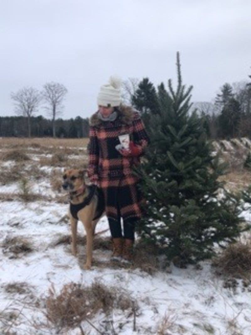 review thumbnail images 1